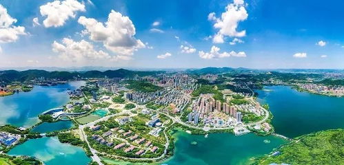 緊扣高質量發展，力促轉型升級——黃石這片投資熱土等你來